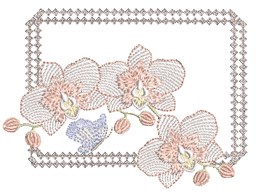 Orquidea-e-Borboleta-