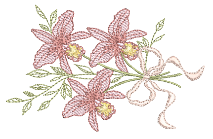 Orquidea-e-Laco
