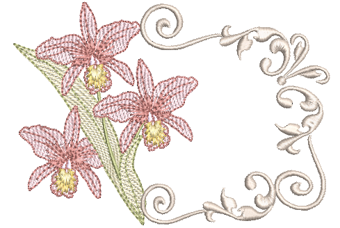 Orquidea-e-Moldura-