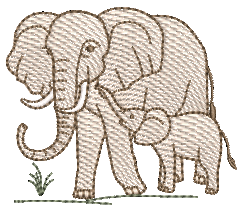 RM-Elefante RQ