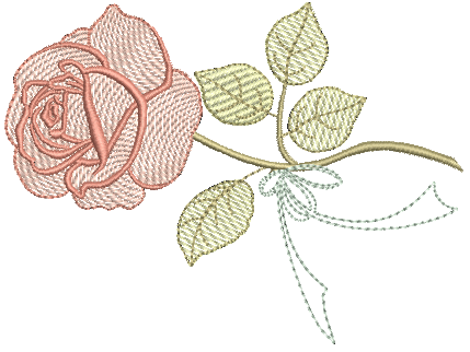 Rosa-no-Galho-1